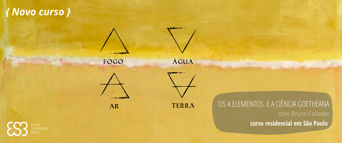 Fogo, Ar, Terra e Água: os elementos revelam o seu jeito de ser